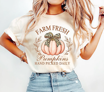 Farm Fresh Pumpkins - Lily Rose Co. Marketplace 