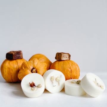 Pumpkin Gingerbread - Farmhouse Candle Collection Wax Melts - Lily Rose Co. Marketplace 