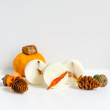 Pumpkin Patch Wax Melts - Lily Rose Co. Marketplace 